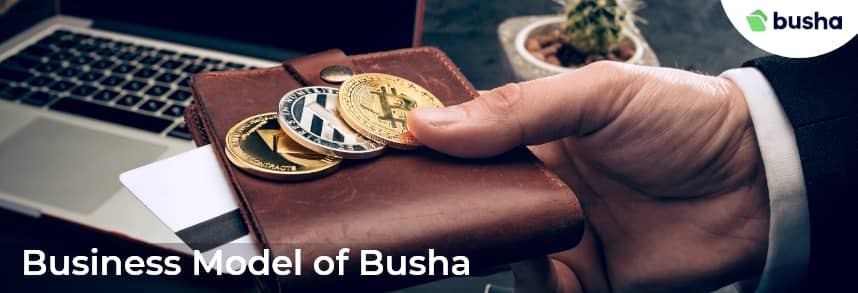  Business Model of Busha 