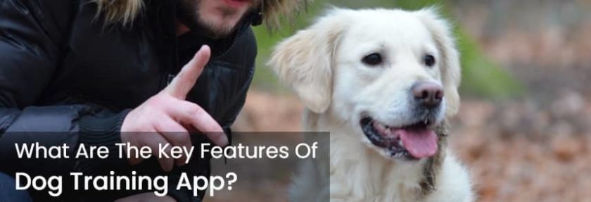 What are the key features of dog training app
