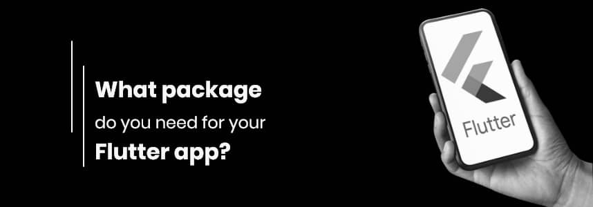package you need for your Flutter app